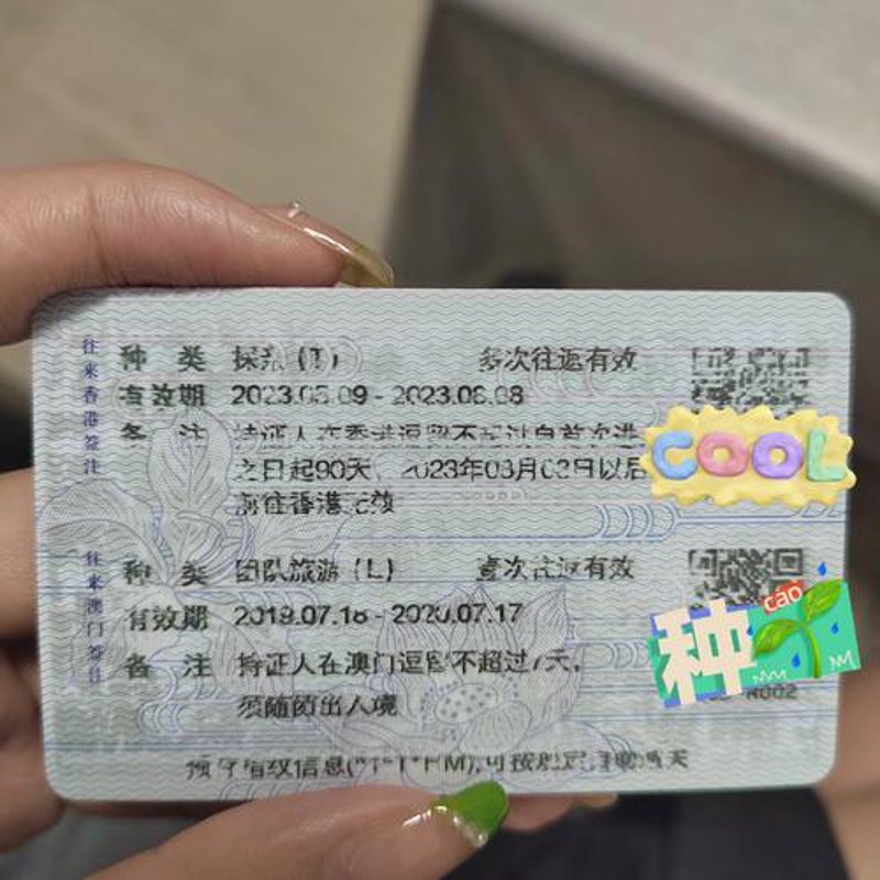 探亲签证